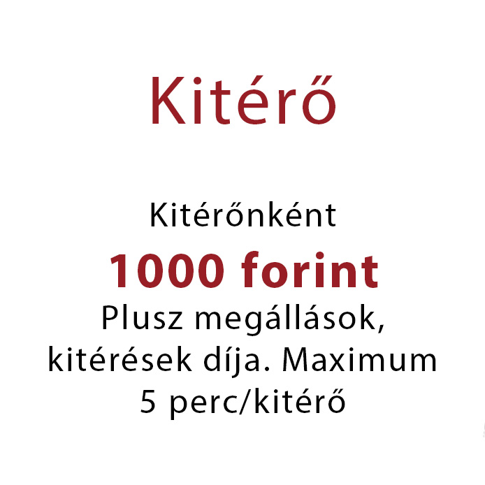 sofőrszolgálat ár 6